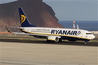Alfonso Sols - Asociacin Canary Islands Spotting. Haz click para ampliar