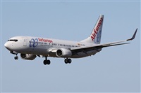 ©Alfonso Solís - Asociación Canary Islands Spotting. Click to see full size photo ©Alfonso Solís - Asociación Canary Islands Spotting. Click to see full size photo