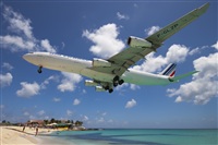 Rui Alves - Madeira Spotters. Click to see full size photo