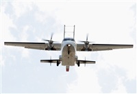 Alejandro H.L - Gran Canaria Spotters. Click to see full size photo