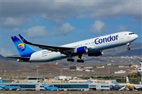 Luciano Fumero( freedom spotter)canary island spotting. Click to see full size photo