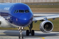 Miguel Alia - Noisy Spotters. Click to see full size photo