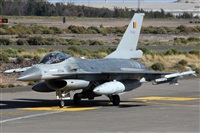 Adrin Alonso Lemes - Lanzarote Spotters. Click to see full size photo