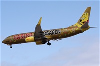 Alfonso Sols - Asociacin Canary Islands Spotting. Click to see full size photo