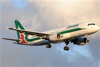 Rubn Gil - Noisy Spotters. Click to see full size photo