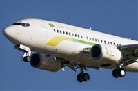 Adolfo Bento - Gran Canaria Spotters. Click to see full size photo