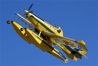 Rodrigo Carvalho - Noisy Spotters. Click to see full size photo
