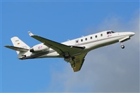 Miguel A. gueda Rguez.  (CANARY ISLANDS SPOTTING). Click to see full size photo