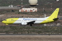 ©Alfonso Solís - Asociación Canary Islands Spotting. Click to see full size photo ©Alfonso Solís - Asociación Canary Islands Spotting. Click to see full size photo
