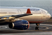 Javier de la Cruz - CANARY ISLANDS SPOTTING. Click to see full size photo