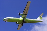 Saimon J Rodriguez   -   Canary Islands Spotting. Click to see full size photo