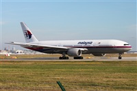 Miguel Alia - Noisy Spotters. Click to see full size photo