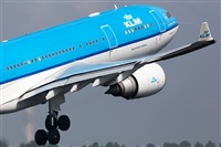 Miguel Alia - Noisy Spotters. Click to see full size photo