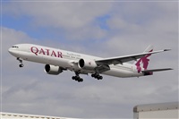 Miguel A. gueda Rguez.  (CANARY ISLANDS SPOTTING). Click to see full size photo