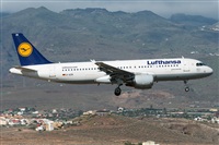 Adolfo Bento - Gran Canaria Spotters. Haz click para ampliar