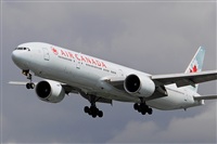 Miguel A. gueda Rguez.  (CANARY ISLANDS SPOTTING). Click to see full size photo