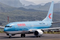 Javier de la Cruz - CANARY ISLANDS SPOTTING. Click to see full size photo