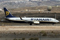 ©Alfonso Solís - Asociación Canary Islands Spotting. Click to see full size photo ©Alfonso Solís - Asociación Canary Islands Spotting. Click to see full size photo