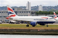 Miguel A. gueda Rguez.  (CANARY ISLANDS SPOTTING). Click to see full size photo