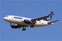 Miguel A. gueda Rguez.  (CANARY ISLANDS SPOTTING). Click to see full size photo