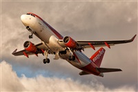 Javier de la Cruz - CANARY ISLANDS SPOTTING. Click to see full size photo