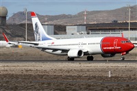 ©Alfonso Solís - Asociación Canary Islands Spotting. Click to see full size photo ©Alfonso Solís - Asociación Canary Islands Spotting. Click to see full size photo