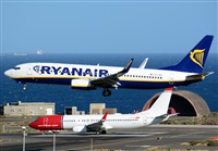 Alejandro H.L - Gran Canaria Spotters. Click to see full size photo