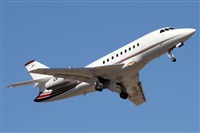 ©Alfonso Solís - Asociación Canary Islands Spotting. Click to see full size photo ©Alfonso Solís - Asociación Canary Islands Spotting. Click to see full size photo