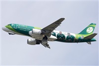 Rubn Gil - Noisy Spotters. Click to see full size photo
