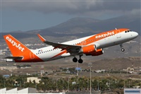 ©Alfonso Solís - Asociación Canary Islands Spotting. Click to see full size photo ©Alfonso Solís - Asociación Canary Islands Spotting. Click to see full size photo