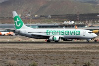Alfonso Sols - Asociacin Canary Islands Spotting. Click to see full size photo