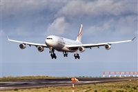 Javier de la Cruz - CANARY ISLANDS SPOTTING. Click to see full size photo