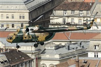 Tams. Click to see full size photo