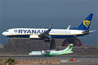 Cndida Hidalgo - Gran Canaria Spotters. Click to see full size photo