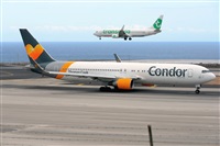Miguel A. gueda Rguez.  (CANARY ISLANDS SPOTTING). Click to see full size photo
