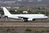 Alfonso Sols - Asociacin Canary Islands Spotting. Click to see full size photo