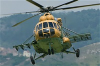 Tams. Click to see full size photo