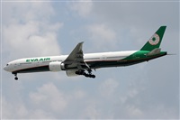 ©Alfonso Solís - Asociación Canary Islands Spotting. Click to see full size photo ©Alfonso Solís - Asociación Canary Islands Spotting. Click to see full size photo