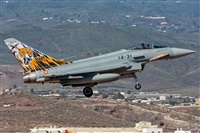 Adolfo Bento - Gran Canaria Spotters. Haz click para ampliar