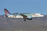 Manuel Acosta Zapata LMDT Spotters. Click to see full size photo