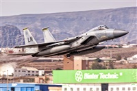 Javier de la Cruz - CANARY ISLANDS SPOTTING. Click to see full size photo