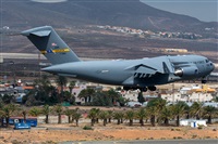 ©Adolfo Bento - Gran Canaria Spotters. Click to see full size photo ©Adolfo Bento - Gran Canaria Spotters. Click to see full size photo