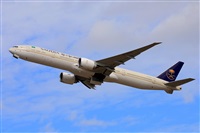 Miguel A. gueda Rguez.  (CANARY ISLANDS SPOTTING). Click to see full size photo