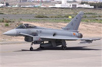 ©Alfonso Solís - Asociación Canary Islands Spotting. Click to see full size photo ©Alfonso Solís - Asociación Canary Islands Spotting. Click to see full size photo