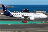Adolfo Bento - Gran Canaria Spotters. Haz click para ampliar