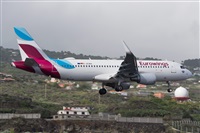 ©Luis Rguez - La Palma Spotting. Click to see full size photo ©Luis Rguez - La Palma Spotting. Click to see full size photo