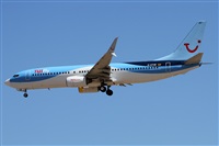 ©Alfonso Solís - Asociación Canary Islands Spotting. Click to see full size photo ©Alfonso Solís - Asociación Canary Islands Spotting. Click to see full size photo