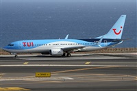 Alfonso Sols - Asociacin Canary Islands Spotting. Click to see full size photo