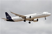 Alfonso Sols - Asociacin Canary Islands Spotting. Haz click para ampliar