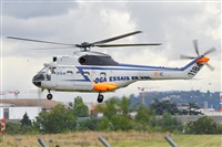 Miguel A. gueda Rguez.  (CANARY ISLANDS SPOTTING). Click to see full size photo